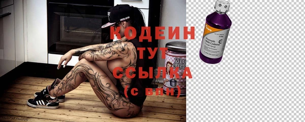 первитин Ладушкин